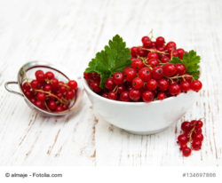 Johannisbeeren rezept