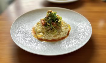 Zitronen-Risotto | Rotbarbe 1