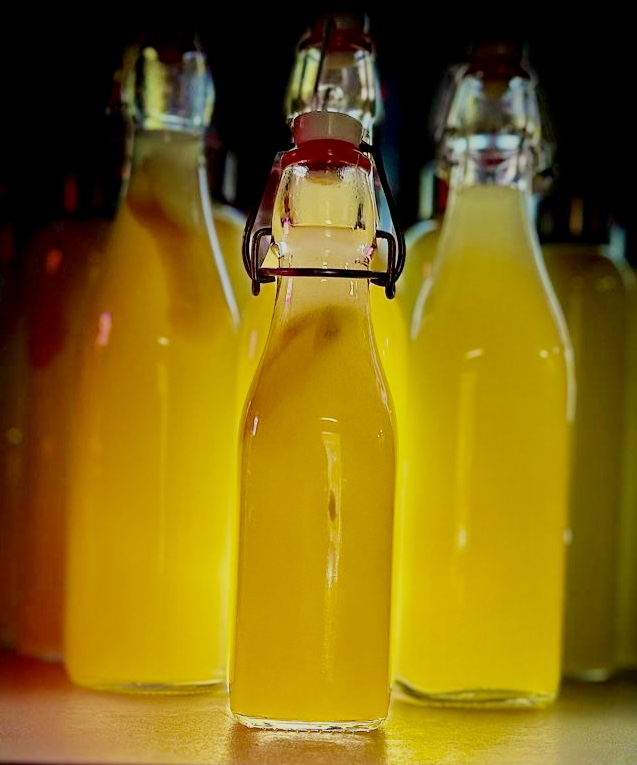 Vier Flachen selbstgemachten Limoncello in Flachen abgefüllt.