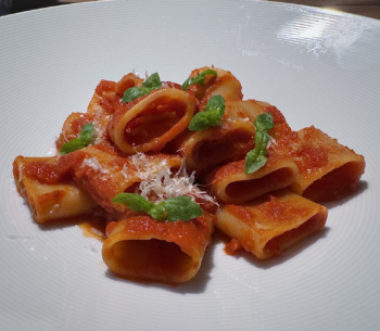 Paccheri - Röhrennudeln mit einfacher Tomatensauce auf einem weißen Teller angerichtet mit Basilikum garniert.