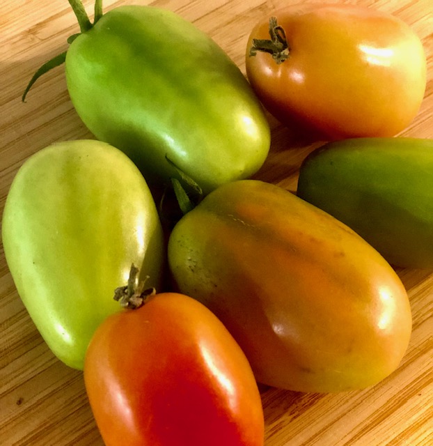 Einige grüne und rote Tomaten auf einem Holzbrett.