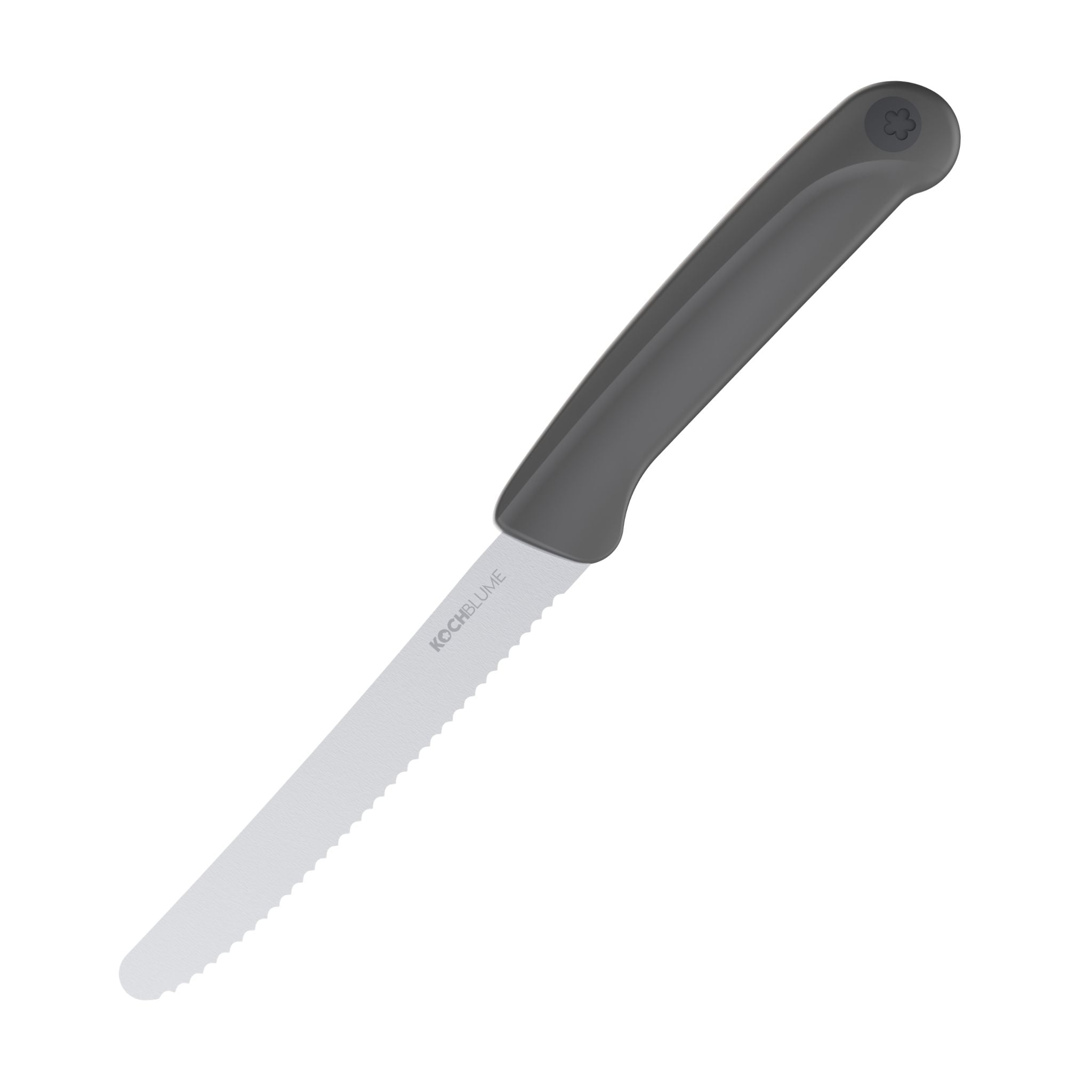 Frühstücksmesser mit gezahnter Klinge und ergonomischem anthrazitfarbenem Griff.